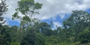 experiencia-tabacon-4