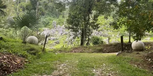 experiencia-tabacon-5